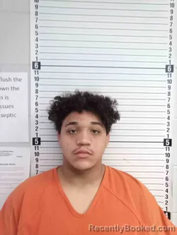 Mugshot of LEONARDO BENEDETTI