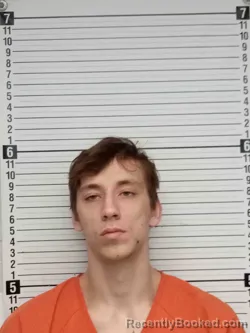 Mugshot of MICHAEL PETRIW