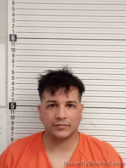 Mugshot of FREDDIE DE JESUS MCDOUGALL