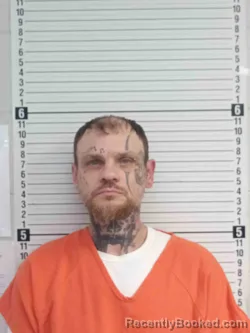 Mugshot of SHAWN HILL