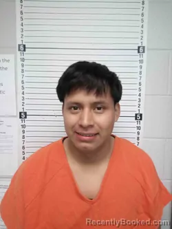 Mugshot of ALEX OTONIEL PUTUL POP