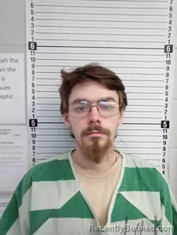 Mugshot of DONNY HORNSBY