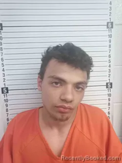 Mugshot of BYRON PARRIS