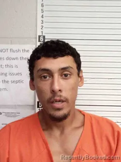 Mugshot of TONY WALLACE booked in Wayne County, Kentucky on March 31, 2026