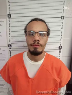 Mugshot of BRYCE MCDANIEL