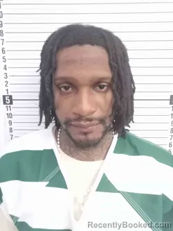 Mugshot of DOMINIQUE STEWART booked in Wayne County, Kentucky on March 31, 2026