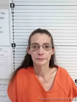 Mugshot of SHERRY BARNES booked in Wayne County, Kentucky on April 3, 2026