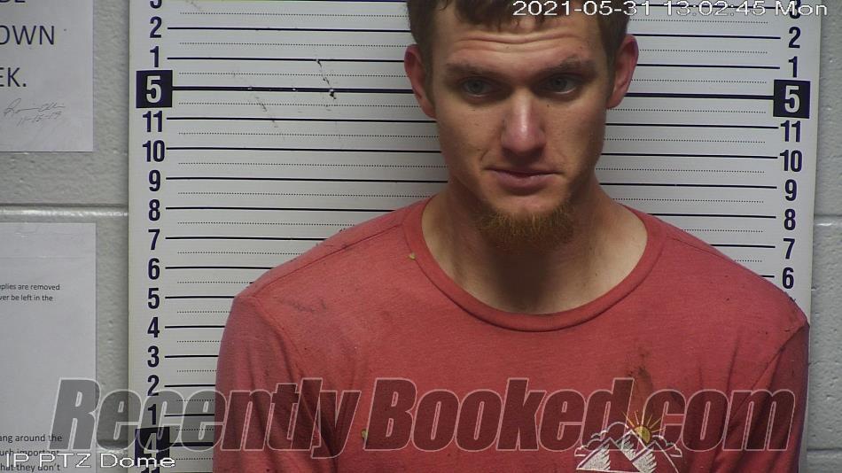 Booking photo from Wayne County, Kentucky
