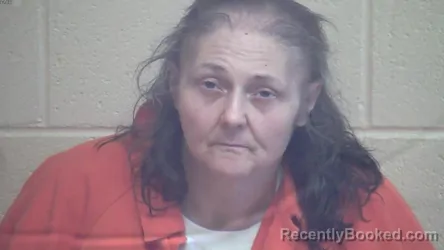 Mugshot of ALISSIA NICOLE HOGAN