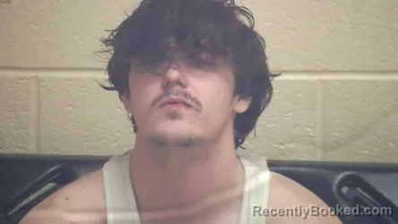 Mugshot of AUSTIN W LOVELL