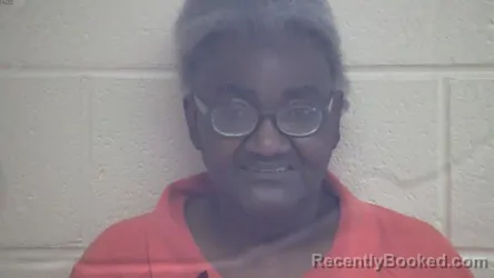 Mugshot of ANITA NICOLE LONG