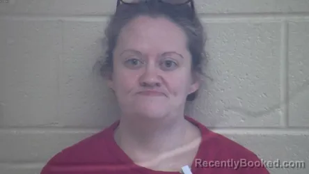 Mugshot of BOBBIE LEE JOHNSON booked in Webster County, Kentucky on March 24, 2026