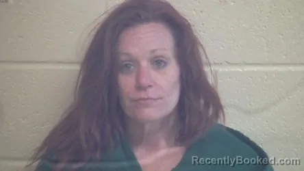 Mugshot of BRANDY ANN STONE