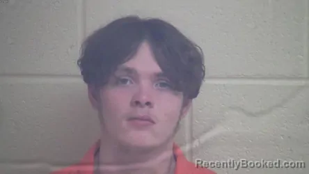 Mugshot of BRANDON DAYLE WATSON booked in Webster County, Kentucky on March 9, 2026