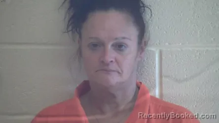 Mugshot of COURTNEY RAYCHELLE DIXON-LOVELESS