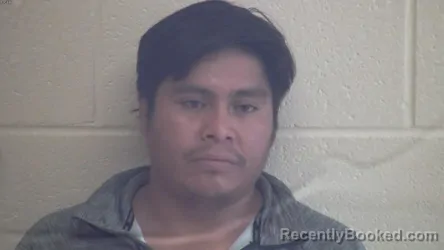 Mugshot of FELIX DIEGO TOMAS booked in Webster County, Kentucky on April 25, 2026