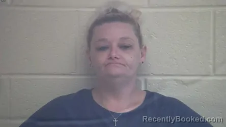 Mugshot of JAMIE MARIE JAMES booked in Webster County, Kentucky on May 28, 2026