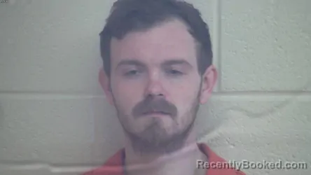 Mugshot of JONATHAN LOGAN ROONEY