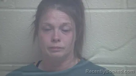 Mugshot of Melissa Dawn Fowler booked in Webster County, Kentucky on October 4, 2026