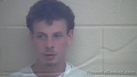 Mugshot of MICAH CLAYDEAN LOVE booked in Webster County, Kentucky on April 11, 2026