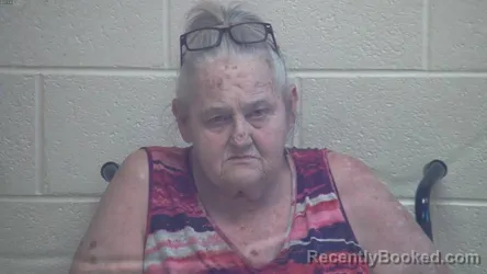 Mugshot of NINA May MCVAY booked in Webster County, Kentucky on March 26, 2026