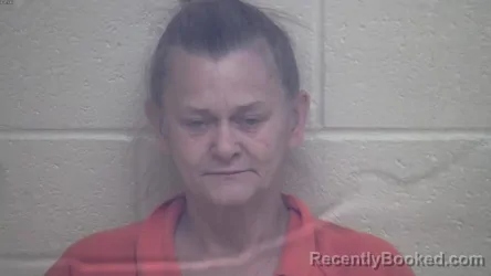 Mugshot of PATRICIA ANN WILLIAMS