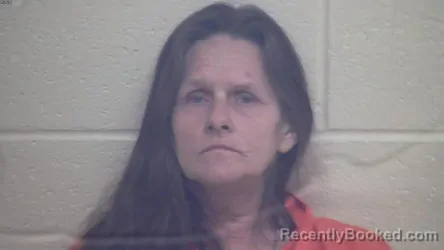 Mugshot of TAMARA KAY CAVINS