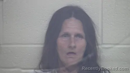 Mugshot of TAMARA KAY CAVINS booked in Webster County, Kentucky on July 31, 2026