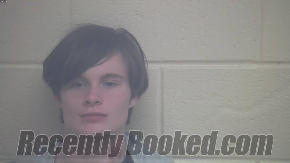 Booking photo from Webster County, Kentucky