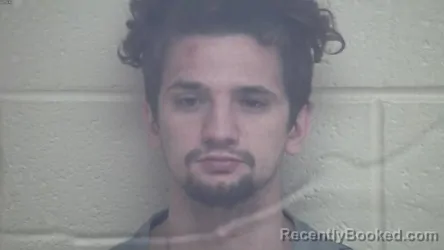 Mugshot of TANNER ADAM LAMB booked in Webster County, Kentucky on July 11, 2026