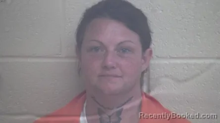Mugshot of Tiffany R Mckinney booked in Webster County, Kentucky on August 20, 2026