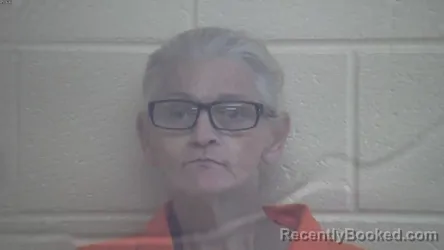 Mugshot of TERRI LYNN MONKS booked in Webster County, Kentucky on July 30, 2026