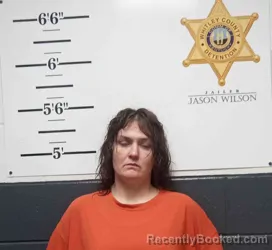 Mugshot of ASHLEY FIELDS booked in Whitley County, Kentucky on June 16, 2026
