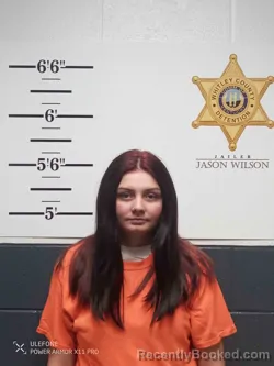 Mugshot of JASMINE CAWOOD booked in Whitley County, Kentucky on June 29, 2026