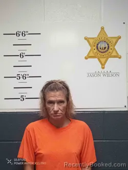 Mugshot of Krystal Simpson booked in Whitley County, Kentucky on October 11, 2026