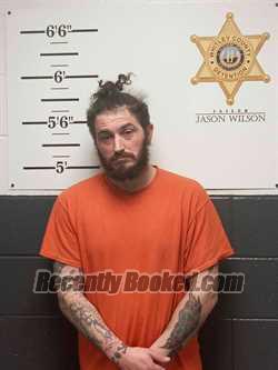 Booking photo from Whitley County, Kentucky