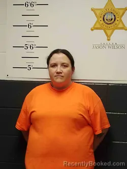 Mugshot of KAYLA LAWSON