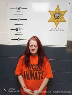 Mugshot of JESSICA LAWSON