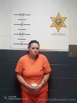 Mugshot of BRITTANY HILL booked in Whitley County, Kentucky on April 15, 2026