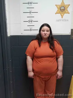 Mugshot of AMANDA BARGO