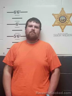 Mugshot of MICHAEL JONES