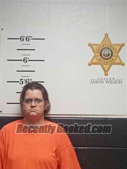 Booking photo from Whitley County, Kentucky