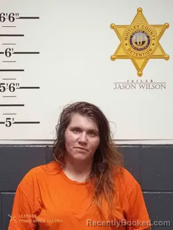 Mugshot of CHRISTIN STANFILL
