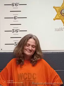 Mugshot of SHANNON HAMBLIN