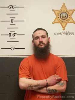 Mugshot of RONNIE SMITH