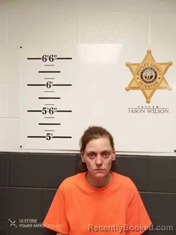 Mugshot of STACY SAWYERS