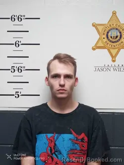Mugshot of COLLIN LAWSON