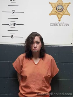 Mugshot of ANDREA SULFRIDGE