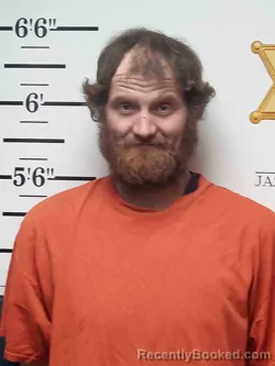 Mugshot of AARON PERKINS