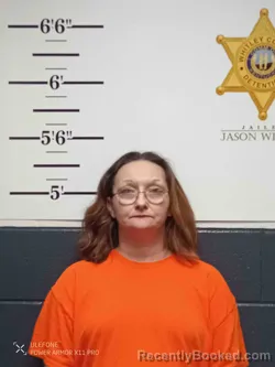 Mugshot of TERRI MINK